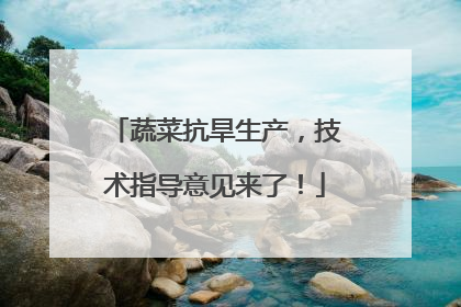 蔬菜抗旱生产，技术指导意见来了！
