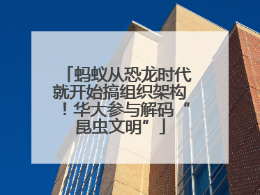 蚂蚁从恐龙时代就开始搞组织架构！华大参与解码“昆虫文明”
