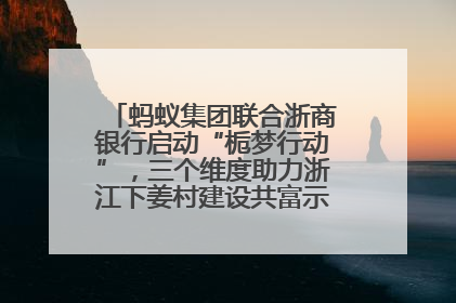 蚂蚁集团联合浙商银行启动“栀梦行动”，三个维度助力浙江下姜村建设共富示范区示范点