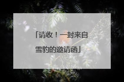 请收！一封来自雪豹的邀请函