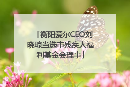 衡阳爱尔CEO刘晓琼当选市残疾人福利基金会理事