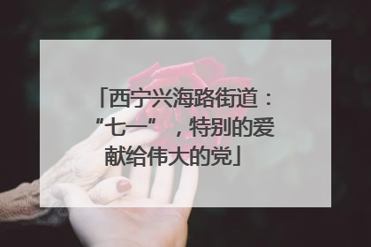 西宁兴海路街道：“七一”，特别的爱献给伟大的党