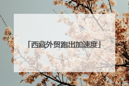 西藏外贸跑出加速度