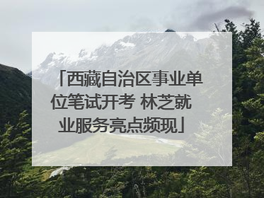 西藏自治区事业单位笔试开考 林芝就业服务亮点频现