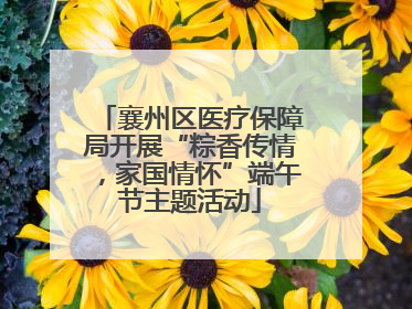 襄州区医疗保障局开展“粽香传情，家国情怀”端午节主题活动