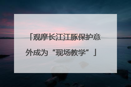 观摩长江江豚保护意外成为“现场教学”