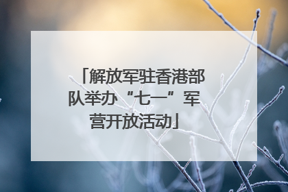解放军驻香港部队举办“七一”军营开放活动