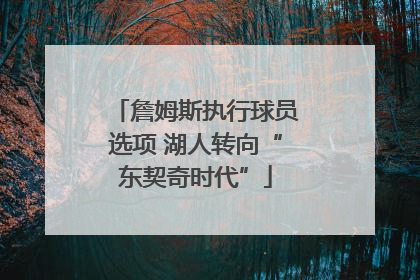 詹姆斯执行球员选项 湖人转向“东契奇时代”