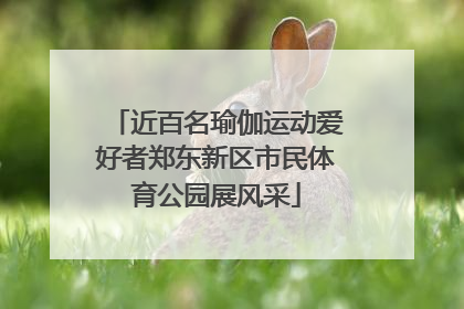 近百名瑜伽运动爱好者郑东新区市民体育公园展风采