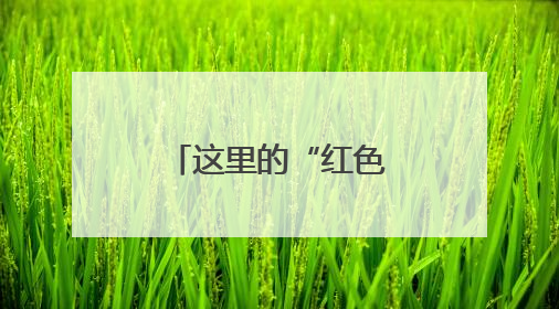 这里的“红色警队”交出一份亮眼答卷！