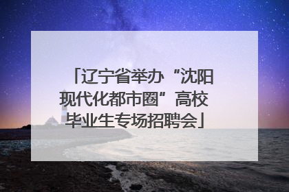 辽宁省举办“沈阳现代化都市圈”高校毕业生专场招聘会