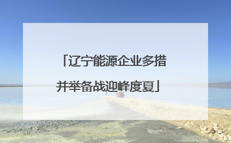 辽宁能源企业多措并举备战迎峰度夏