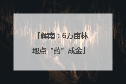 辉南：6万亩林地点“药”成金