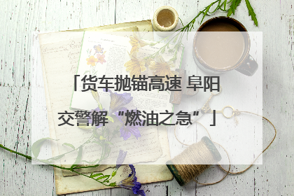 货车抛锚高速 阜阳交警解“燃油之急”