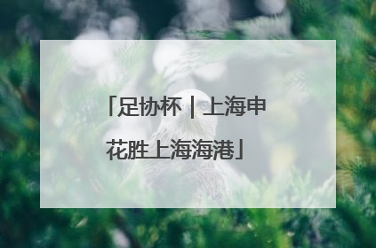 足协杯｜上海申花胜上海海港