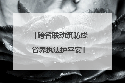 跨省联动筑防线 省界执法护平安