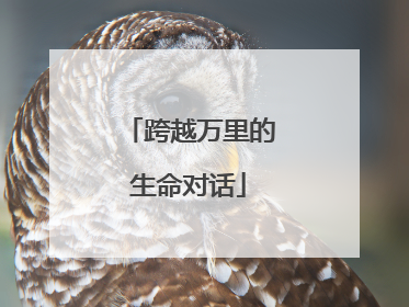 跨越万里的生命对话