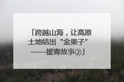 跨越山海，让高原土地结出“金果子”——援青故事②