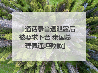 通话录音遭泄露后被要求下台 泰国总理佩通坦致歉