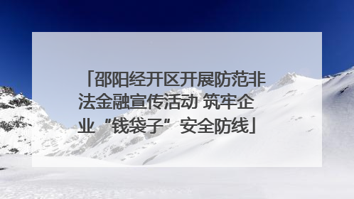 邵阳经开区开展防范非法金融宣传活动 筑牢企业“钱袋子”安全防线