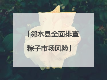 邻水县全面排查粽子市场风险