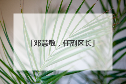 邓慧敏，任副区长