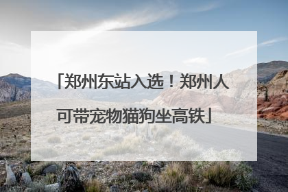 郑州东站入选！郑州人可带宠物猫狗坐高铁