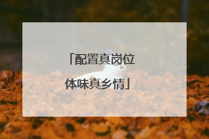 配置真岗位 体味真乡情
