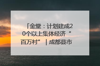 金堂：计划建成20个以上集体经济“百万村”｜成都县市新城高质量发展