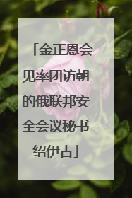 金正恩会见率团访朝的俄联邦安全会议秘书绍伊古