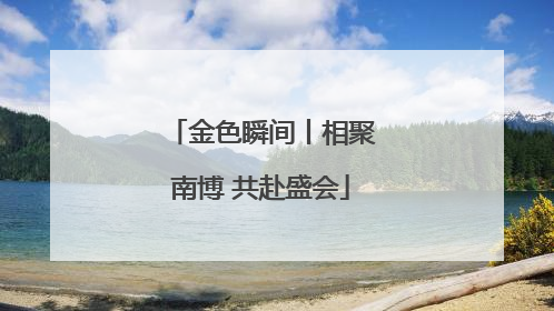金色瞬间丨相聚南博 共赴盛会