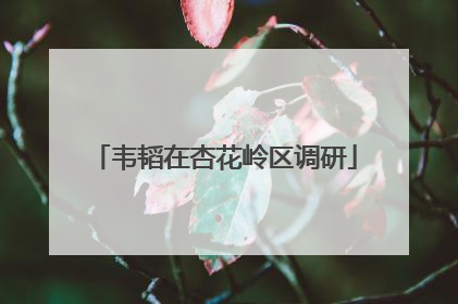 韦韬在杏花岭区调研
