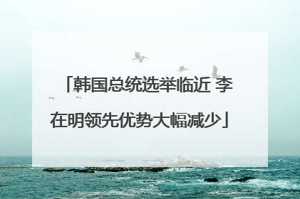 韩国总统选举临近 李在明领先优势大幅减少