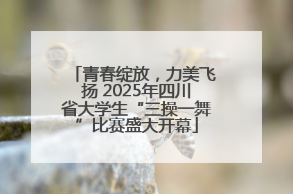 青春绽放，力美飞扬 2025年四川省大学生“三操一舞”比赛盛大开幕