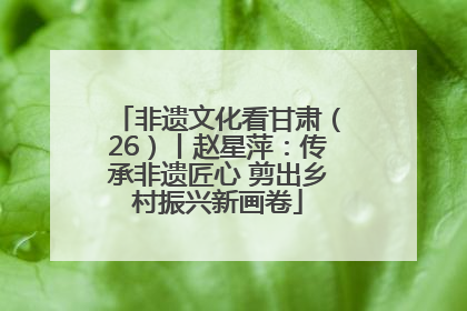 非遗文化看甘肃（26）丨赵星萍：传承非遗匠心 剪出乡村振兴新画卷
