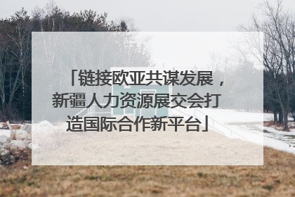 链接欧亚共谋发展，新疆人力资源展交会打造国际合作新平台