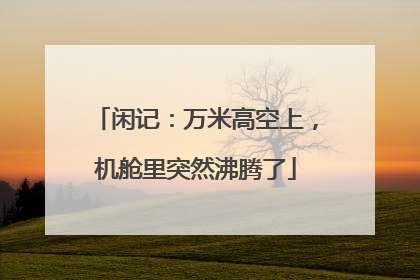 闲记：万米高空上，机舱里突然沸腾了