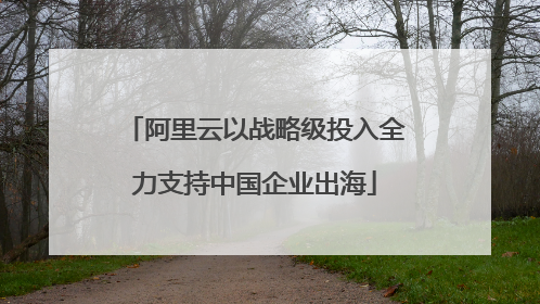 阿里云以战略级投入全力支持中国企业出海