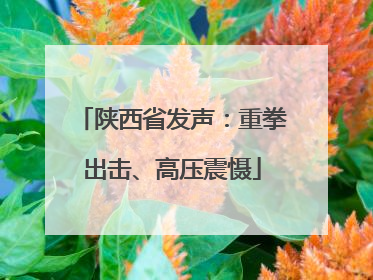 陕西省发声：重拳出击、高压震慑