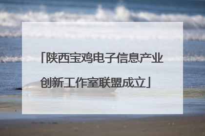 陕西宝鸡电子信息产业创新工作室联盟成立