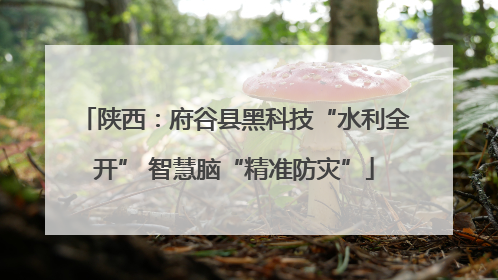 陕西：府谷县黑科技“水利全开” 智慧脑“精准防灾”