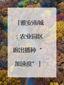雅安雨城：农业园区跑出播种“加速度”