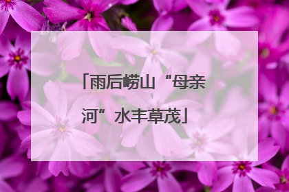 雨后崂山“母亲河”水丰草茂