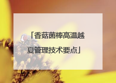 香菇菌棒高温越夏管理技术要点