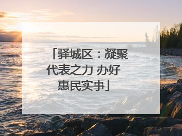 驿城区：凝聚代表之力 办好惠民实事