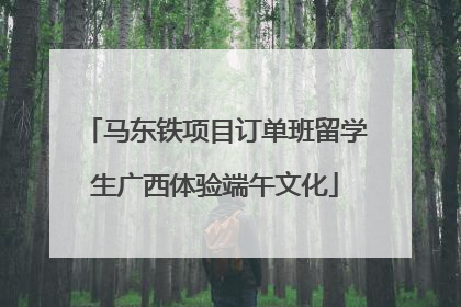 马东铁项目订单班留学生广西体验端午文化