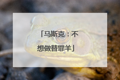 马斯克：不想做替罪羊