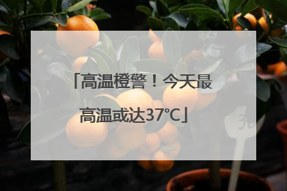 高温橙警！今天最高温或达37℃
