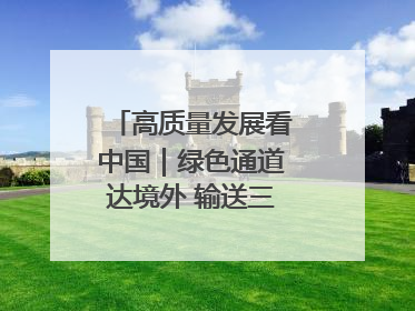 高质量发展看中国｜绿色通道达境外 输送三江“一口鲜”