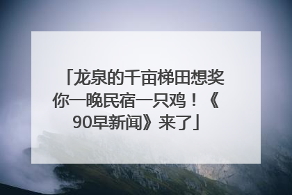 龙泉的千亩梯田想奖你一晚民宿一只鸡！《90早新闻》来了